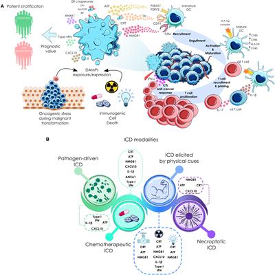 Immunogenic Cell Death and Immunotherapy of Multiple Myeloma